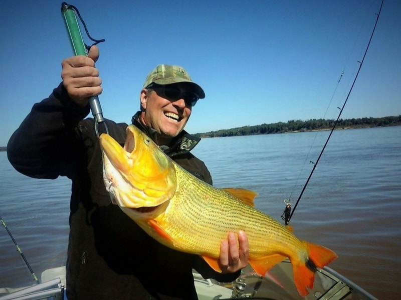 Fresh water fishing for Golden Dorado