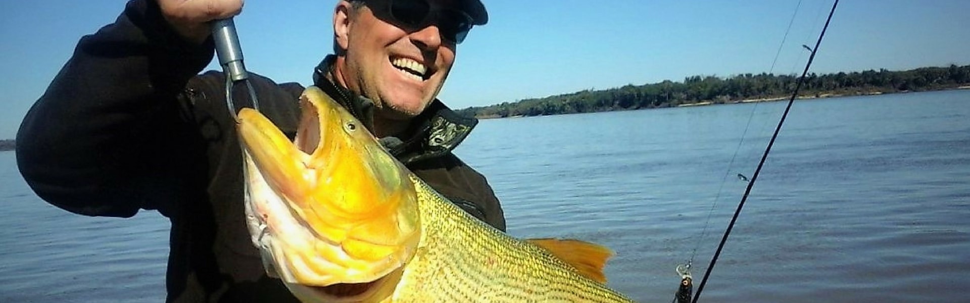 Golden Dorado Fishing In Argentina