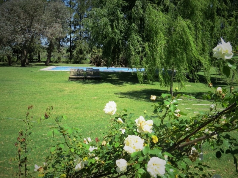El Carmen