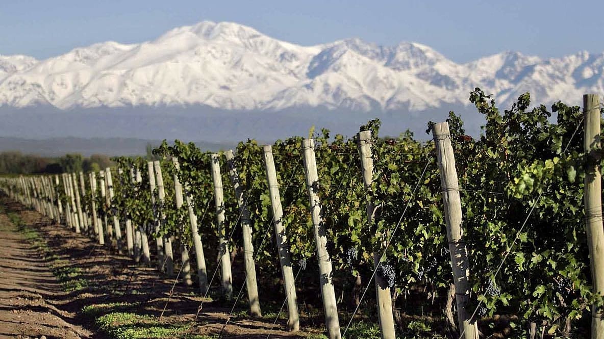 Mendoza wine country Argentina vineyards Andes Mountains